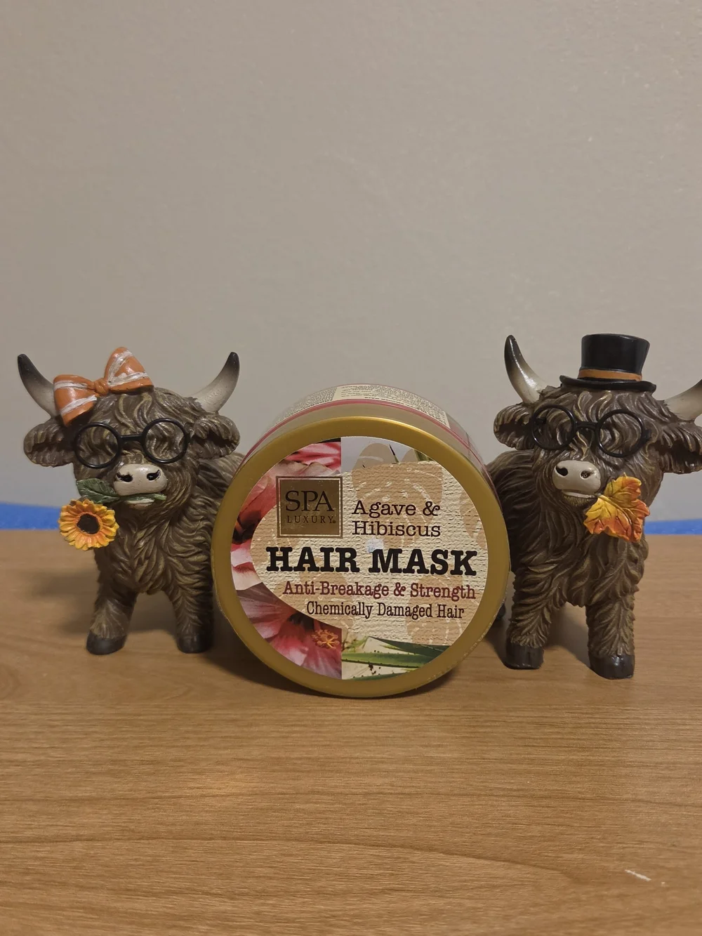 Agave & Hibiscus Hair Mask - Strengthening Hair Mask in Gold